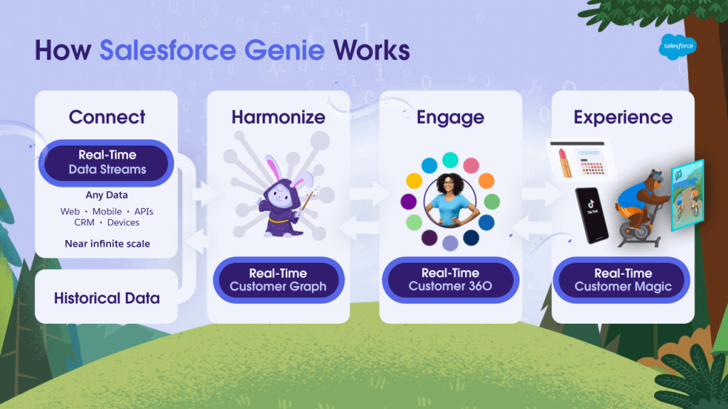 Salesforce genie works