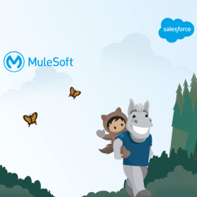 MuleSoft blog