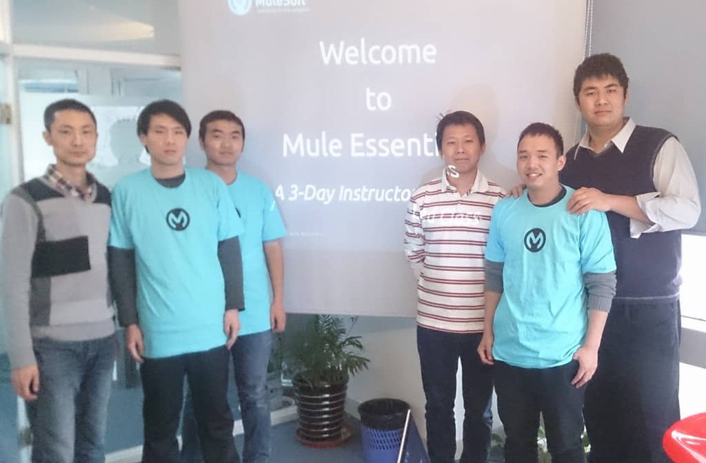 MuleSoft-Frensworkz-Group