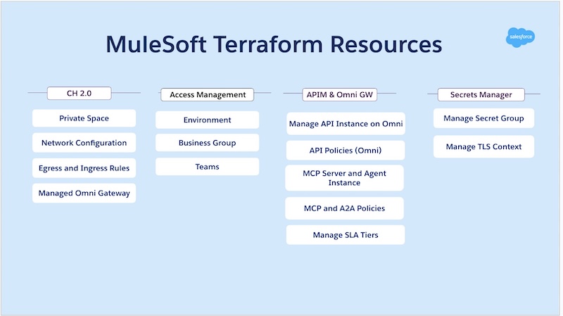 MuleSoft Terraform resources