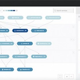 Anypoint Visualizer architecture