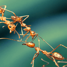 Systems thinking for APIs