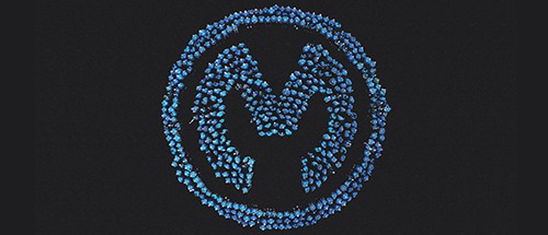 MuleSoft human logo