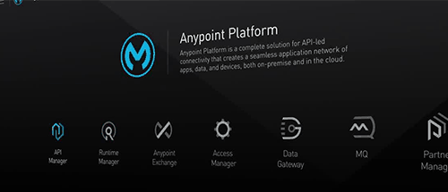 anypoint platform ipaas