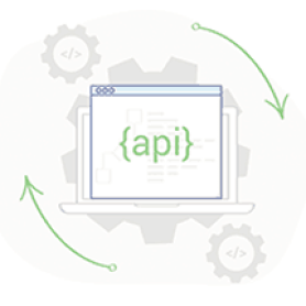 api integration project
