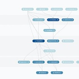 application network graph