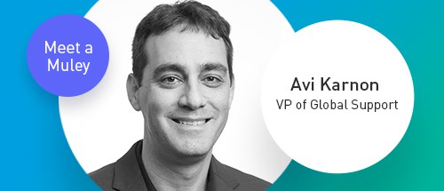 avi karnon mulesoft