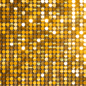 nisha golden hoodie winner